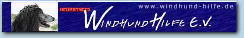 Initiative
Windhundhilfe
e.V. , 
Forchenrain 31/2,
 70839  Gerlingen

Tel:  07156/24821, 
Fax: 07156/480058, 
email info@windhundhilfe.de